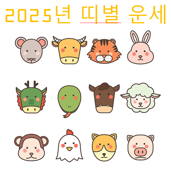 2025년 띠별 운세