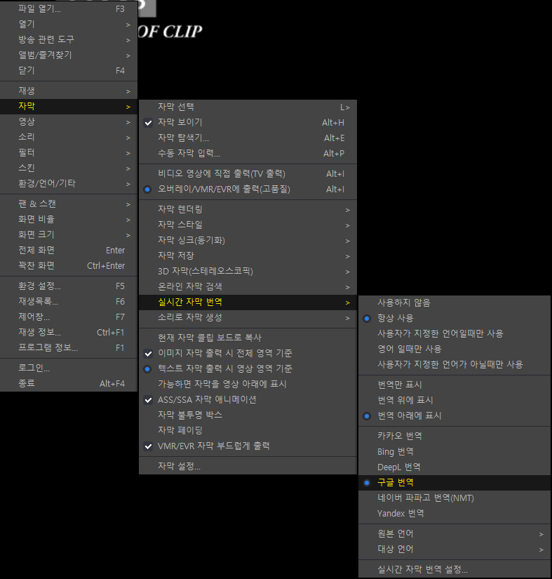 실시간 자막 번역 설정