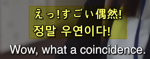 번역 확인